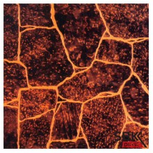 Акватон Камень Бутан МДФ панель стеновая листовая 1220х2440 мм