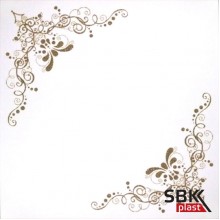 Cesal кассета b48 300х300 мм