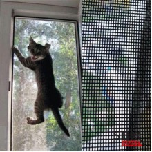 Сетка усиленная на окна "антикошка" (пог.м.)