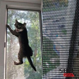 Сетка усиленная на окна "антикошка" (пог.м.)