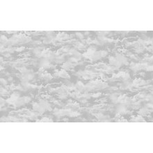 ОБОИ ФЛИЗЕЛИНОВЫЕ 168262-05 размер  1,06мx10м