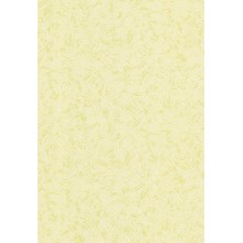 ОБОИ ФЛИЗЕЛИНОВЫЕ 374-77 размер  1,06мx10м