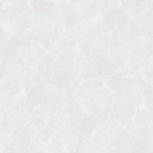 ОБОИ ФЛИЗЕЛИНОВЫЕ 4050 размер  1,06мx10м